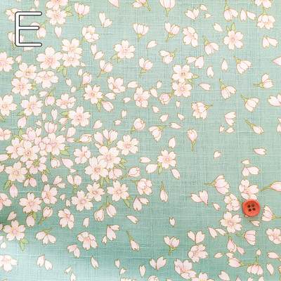 �J���[�o���G�[�V����