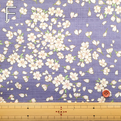 �J���[�o���G�[�V����