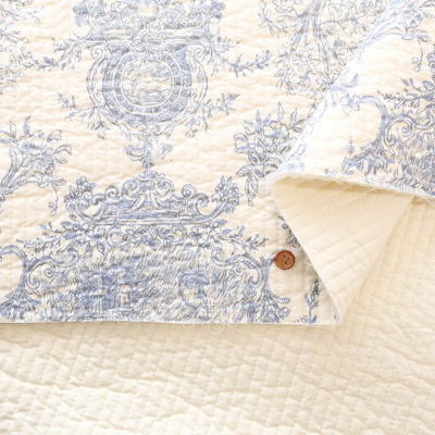 �J���[�o���G�[�V����