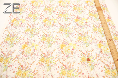 �J���[�o���G�[�V����