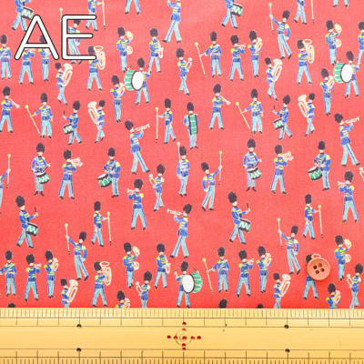 �J���[�o���G�[�V����