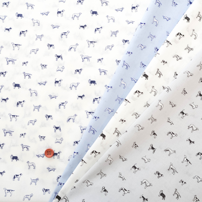 �J���[�o���G�[�V����