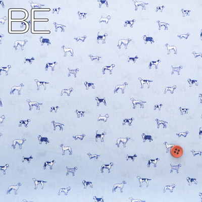 �J���[�o���G�[�V����