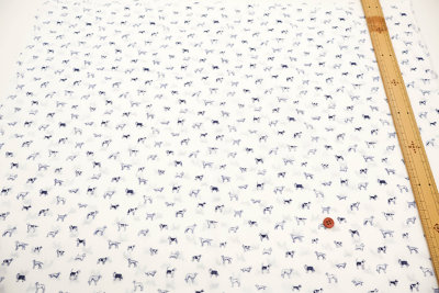 �J���[�o���G�[�V����