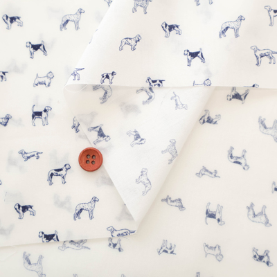 �J���[�o���G�[�V����