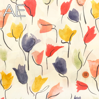 �J���[�o���G�[�V����