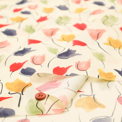 �J���[�o���G�[�V����