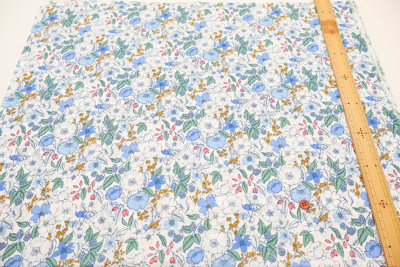 �J���[�o���G�[�V����