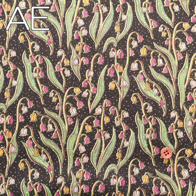 �J���[�o���G�[�V����