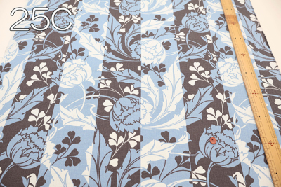 �J���[�o���G�[�V����