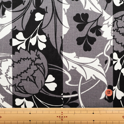 �J���[�o���G�[�V����