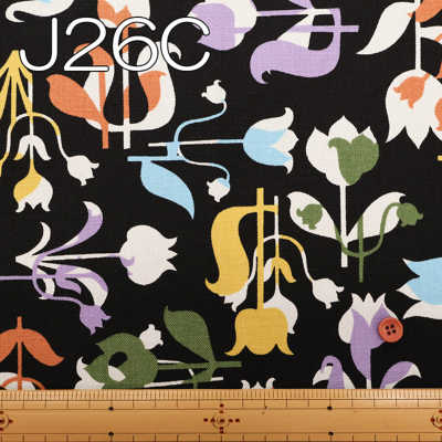 �J���[�o���G�[�V����