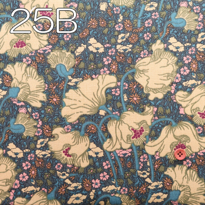 �J���[�o���G�[�V����