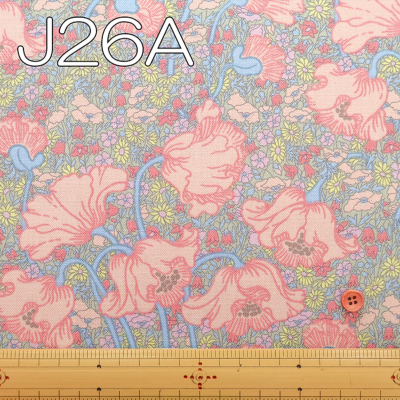 �J���[�o���G�[�V����