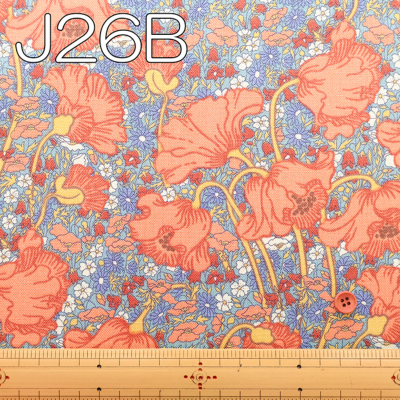 �J���[�o���G�[�V����