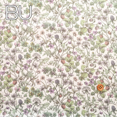 �J���[�o���G�[�V����