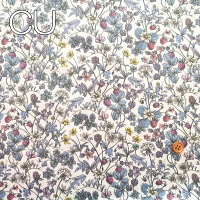 �J���[�o���G�[�V����