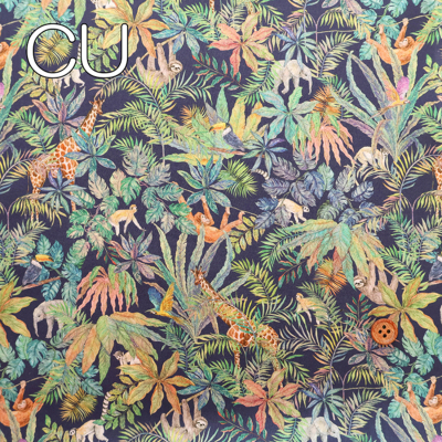 �J���[�o���G�[�V����