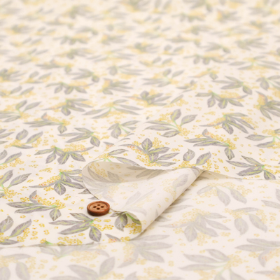 �J���[�o���G�[�V����