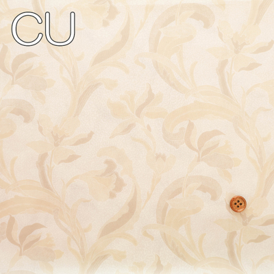 �J���[�o���G�[�V����