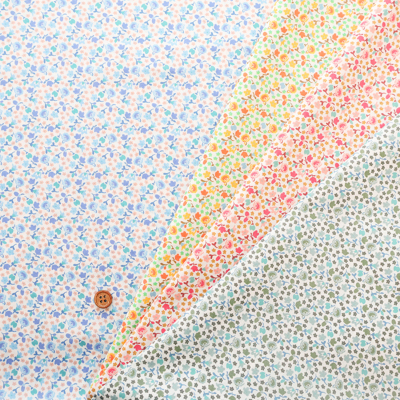 �J���[�o���G�[�V����