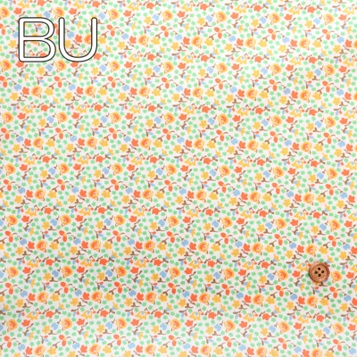 �J���[�o���G�[�V����