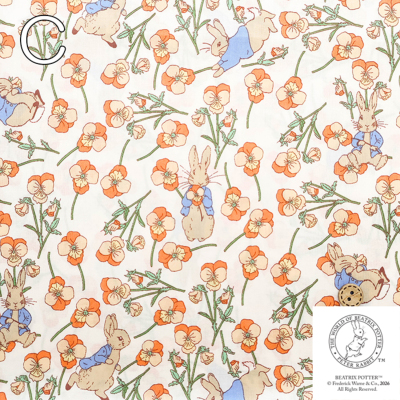 �J���[�o���G�[�V����