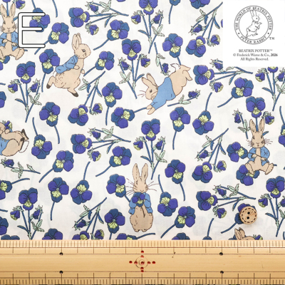 �J���[�o���G�[�V����