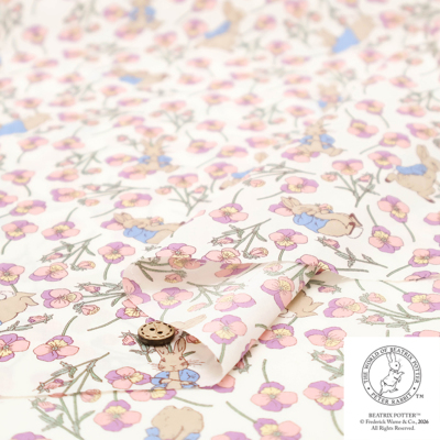 �J���[�o���G�[�V����