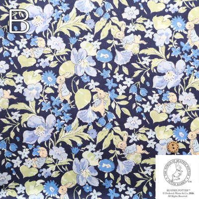 �J���[�o���G�[�V����