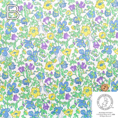 �J���[�o���G�[�V����