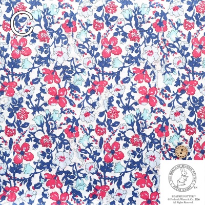 �J���[�o���G�[�V����