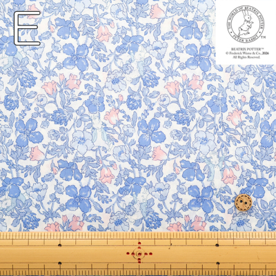 �J���[�o���G�[�V����