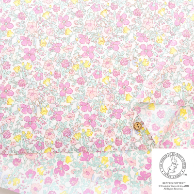 �J���[�o���G�[�V����