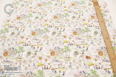 �J���[�o���G�[�V����