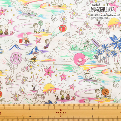 �J���[�o���G�[�V����