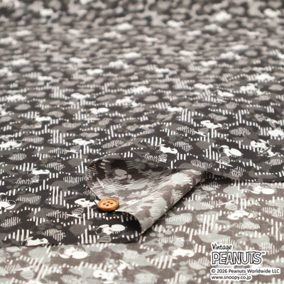 �J���[�o���G�[�V����