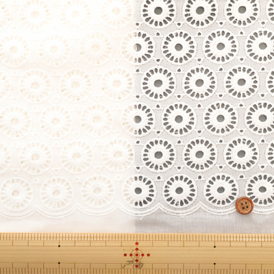 �J���[�o���G�[�V����