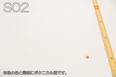 �J���[�o���G�[�V����