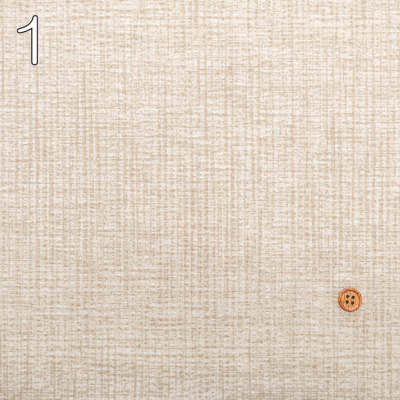 �J���[�o���G�[�V����