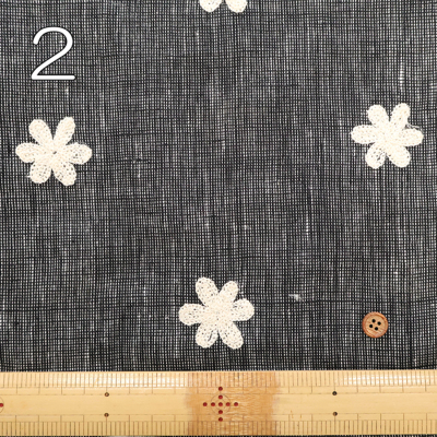 �J���[�o���G�[�V����