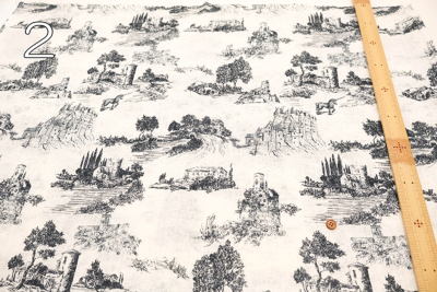 �J���[�o���G�[�V����