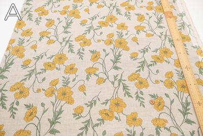 �J���[�o���G�[�V����