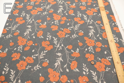 �J���[�o���G�[�V����