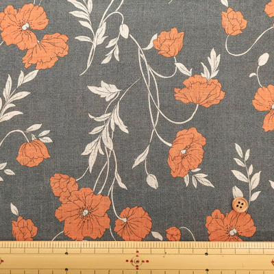 �J���[�o���G�[�V����