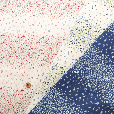 �J���[�o���G�[�V����