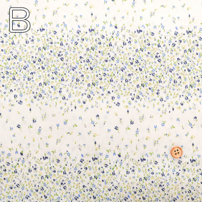 �J���[�o���G�[�V����