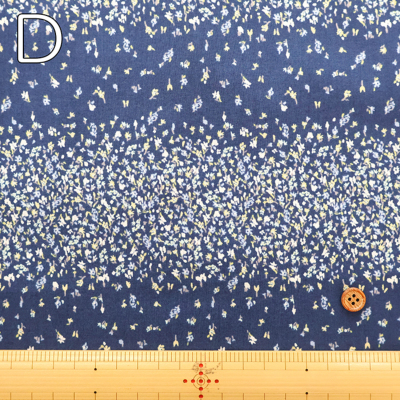 �J���[�o���G�[�V����