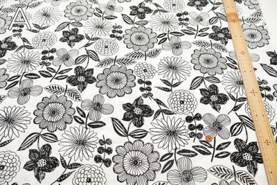 �J���[�o���G�[�V����