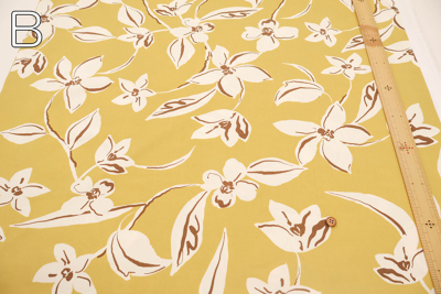 �J���[�o���G�[�V����